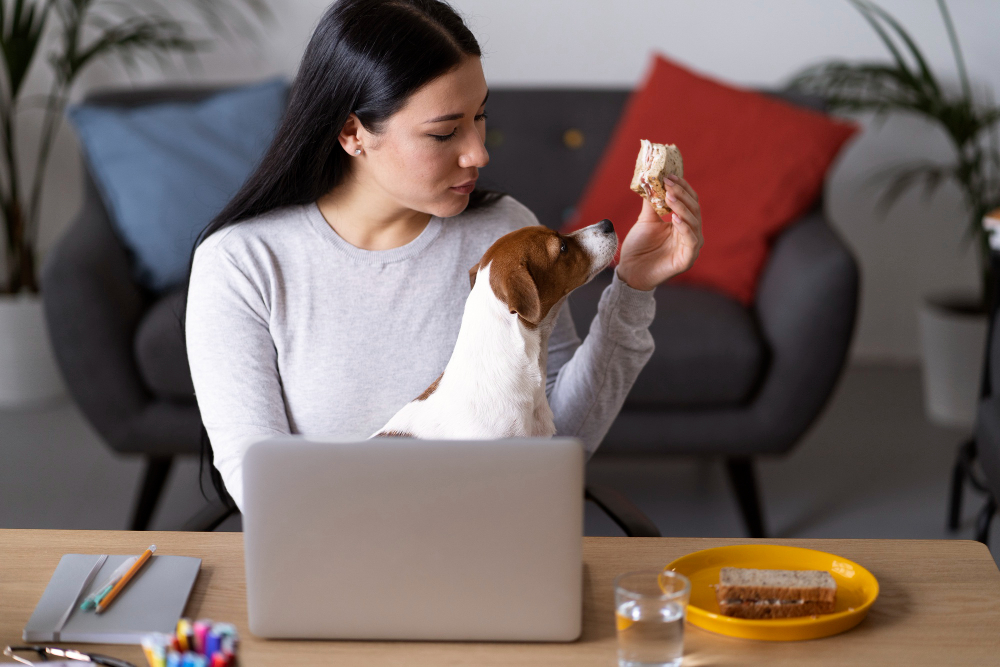 How to Calculate Daily Calorie Needs for an Inactive Spayed or Neutered Dog