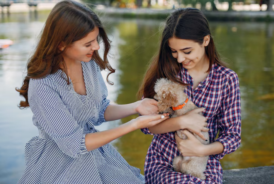 How to Introduce a New Puppy to an Older Resident Cat Safely